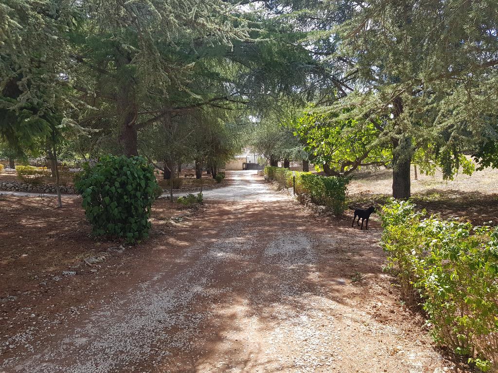 مارتينا فرانكا Villa Venus Woods المظهر الخارجي الصورة