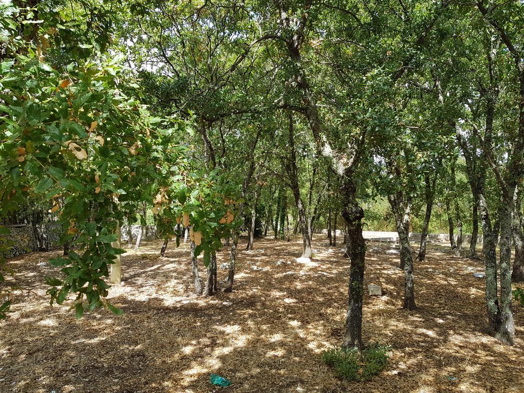 مارتينا فرانكا Villa Venus Woods المظهر الخارجي الصورة