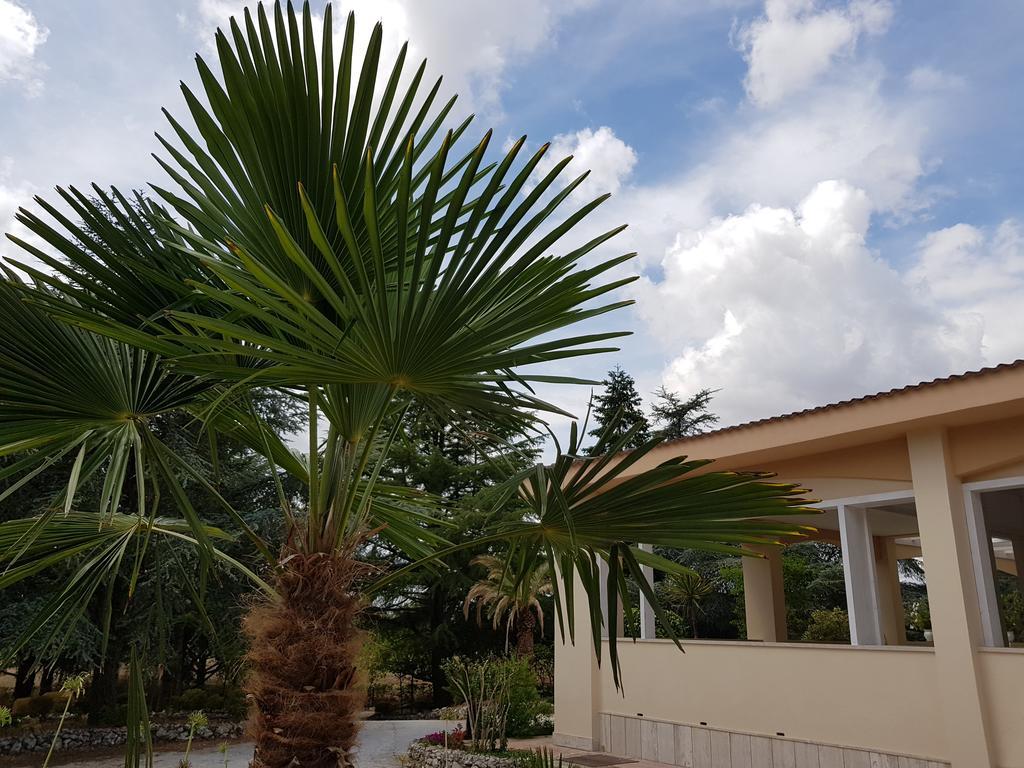 مارتينا فرانكا Villa Venus Woods المظهر الخارجي الصورة