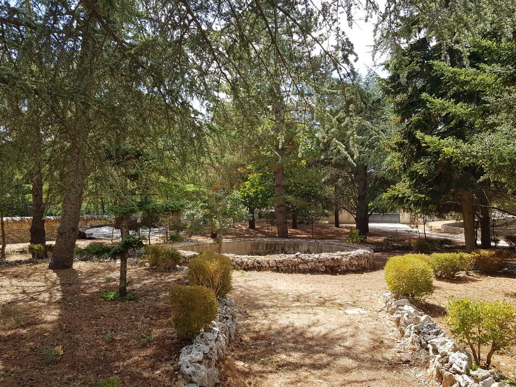 مارتينا فرانكا Villa Venus Woods المظهر الخارجي الصورة